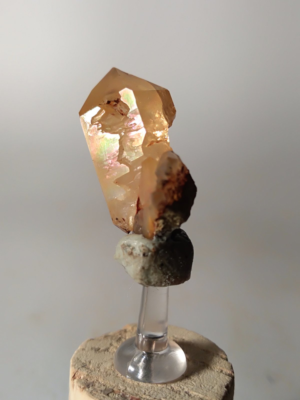 Cuarzo
20 x 15 mm
(Autor: Sante Celiberti)