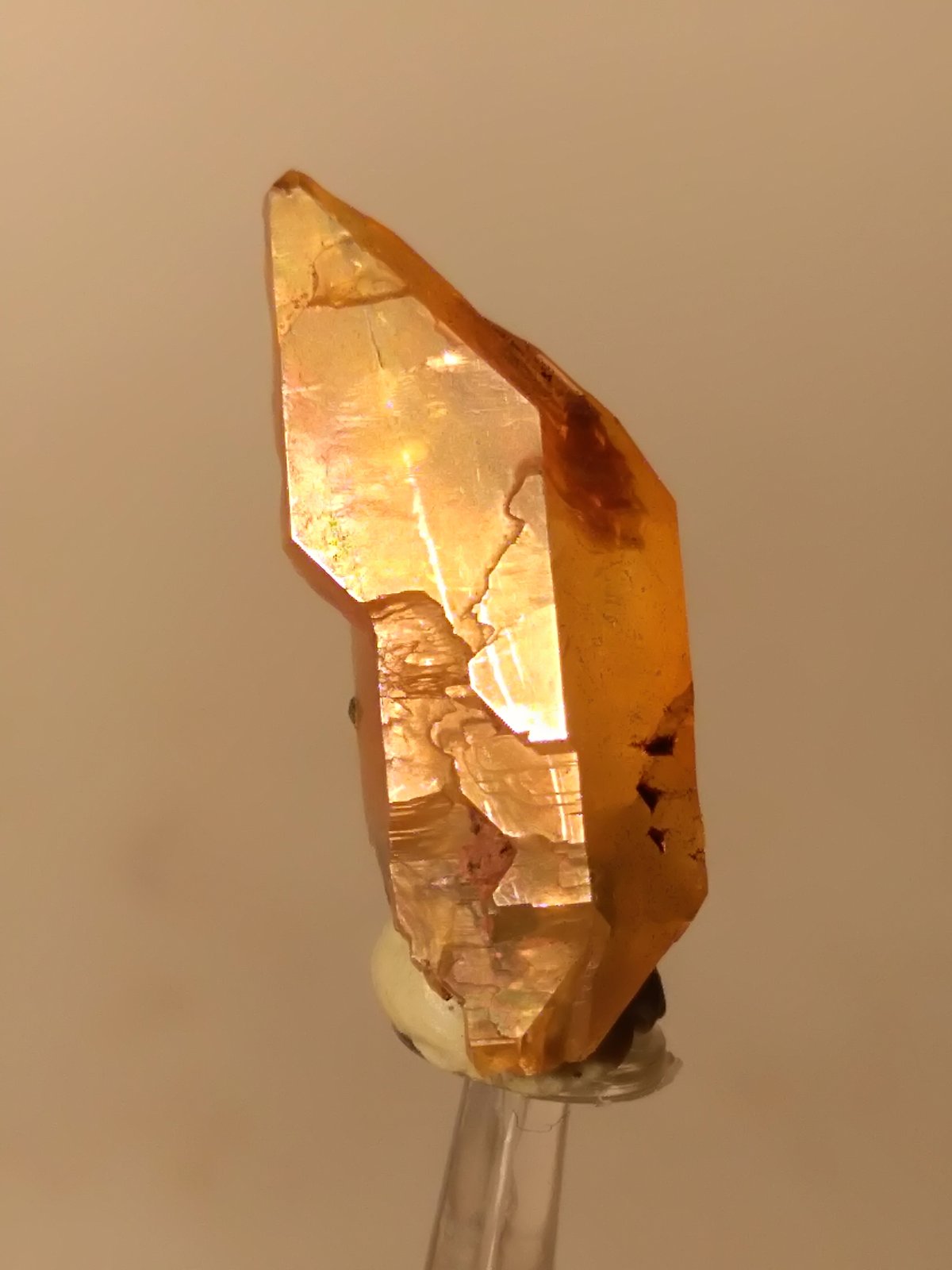 Cuarzo
22,5 x 9,6 mm
(Autor: Sante Celiberti)