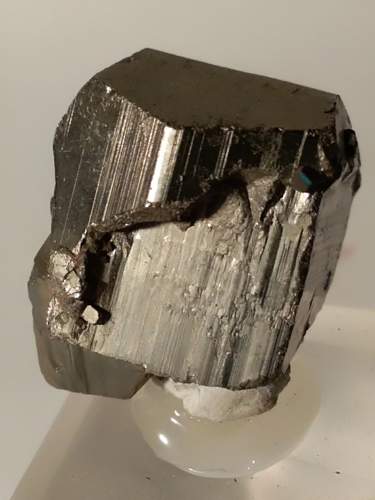 Pirita
29,5 x 26,7 mm
(Autor: Sante Celiberti)