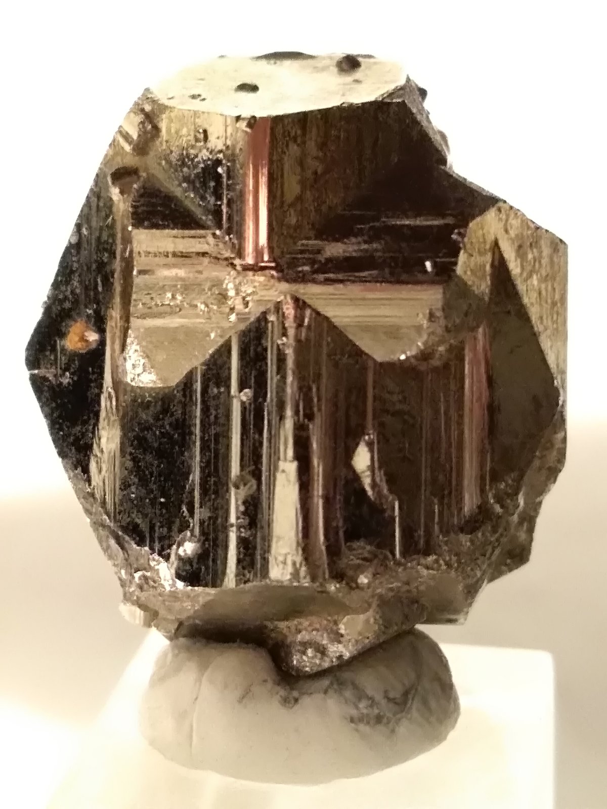 Pirita
22,7 x 19,5 mm
(Autor: Sante Celiberti)