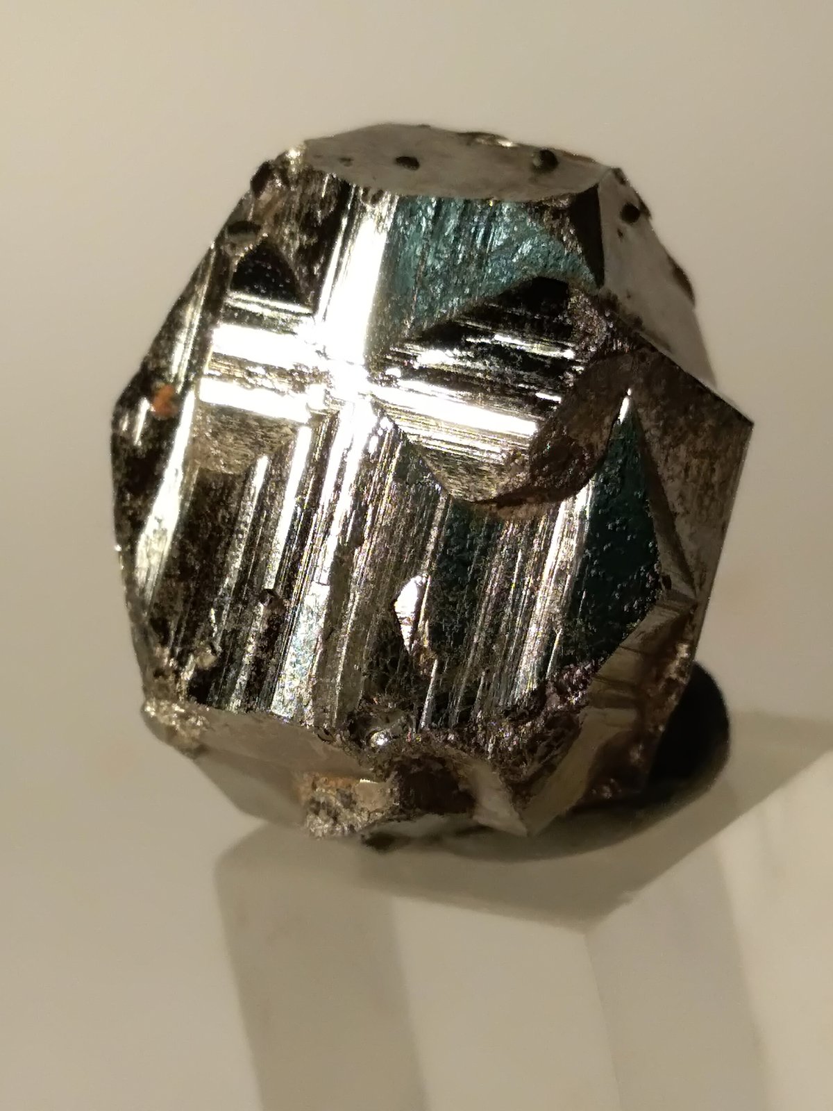 Pirita
22,7 x 19,5 mm
(Autor: Sante Celiberti)