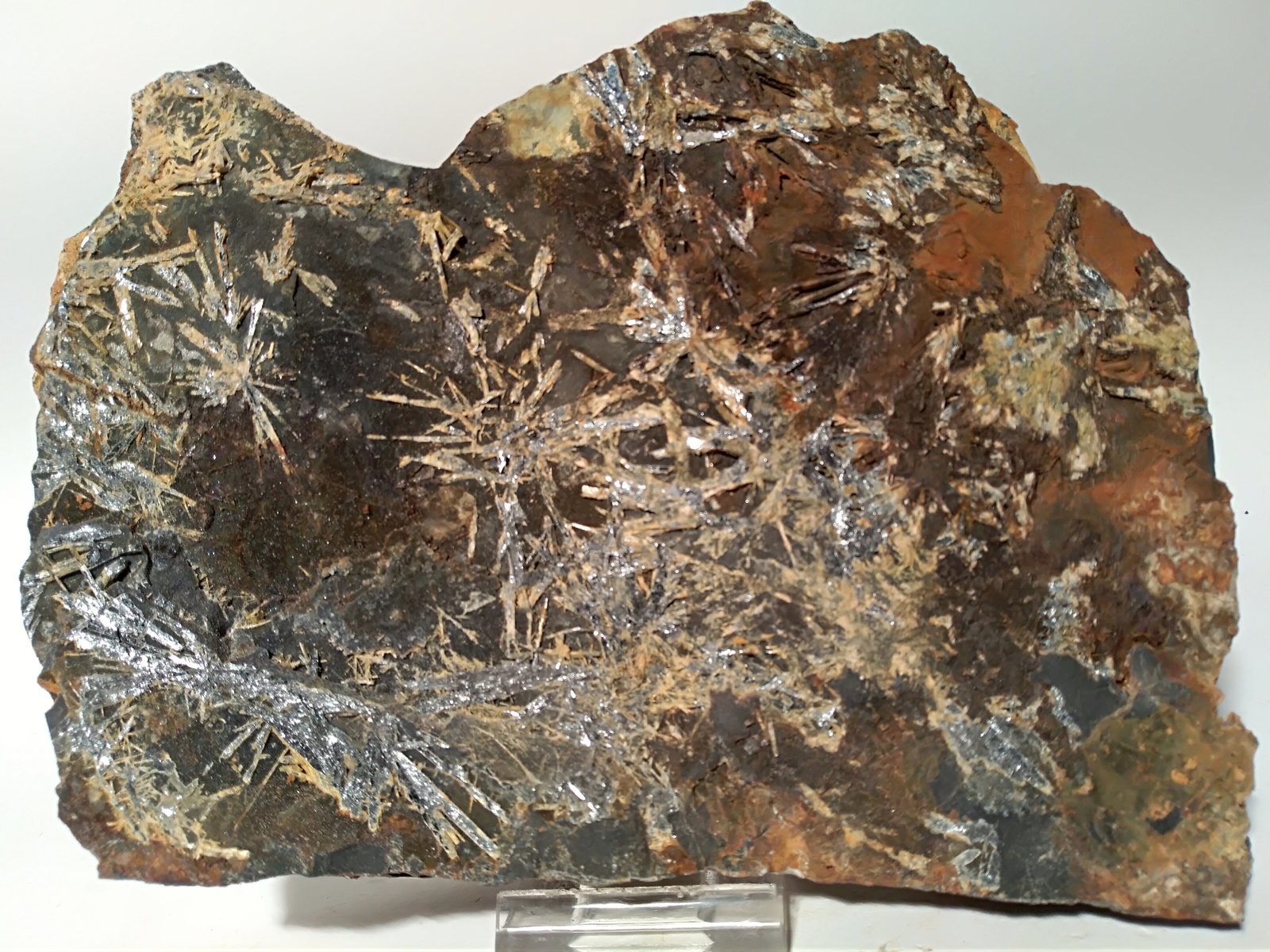Stibnita (Estibina), Stibiconita
165 x 130 mm
(Autor: Sante Celiberti)
