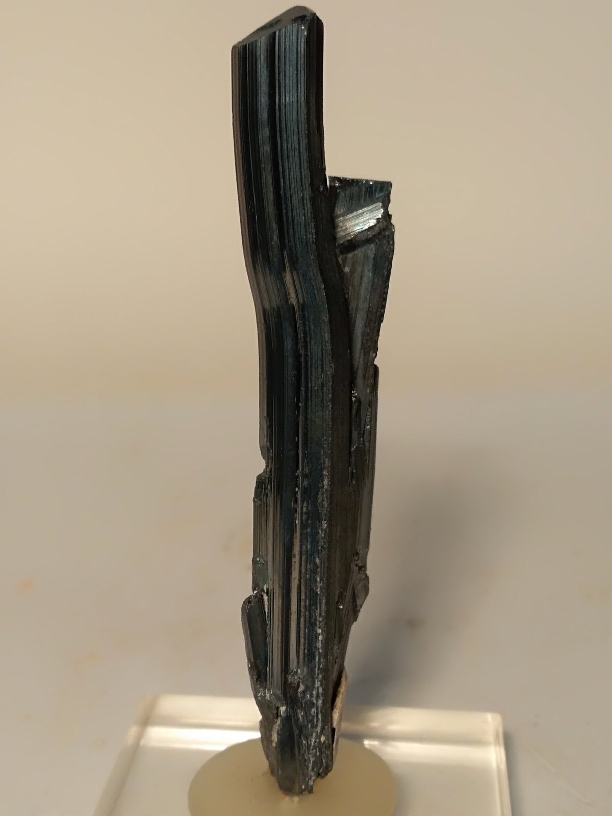 Stibnita (Estibina)
73 x 14,4 mm
(Autor: Sante Celiberti)