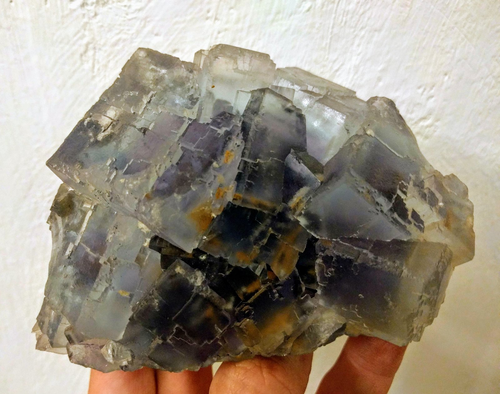 Fluorita
11,5 x 7,5 cm.
(Autor: carles)