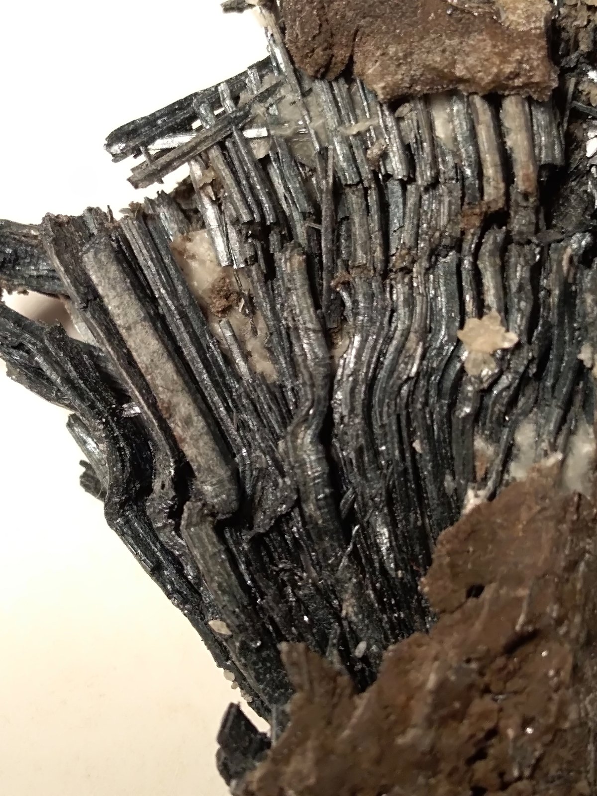 Stibnita (Estibina)
71,5 x 40 mm
(Autor: Sante Celiberti)