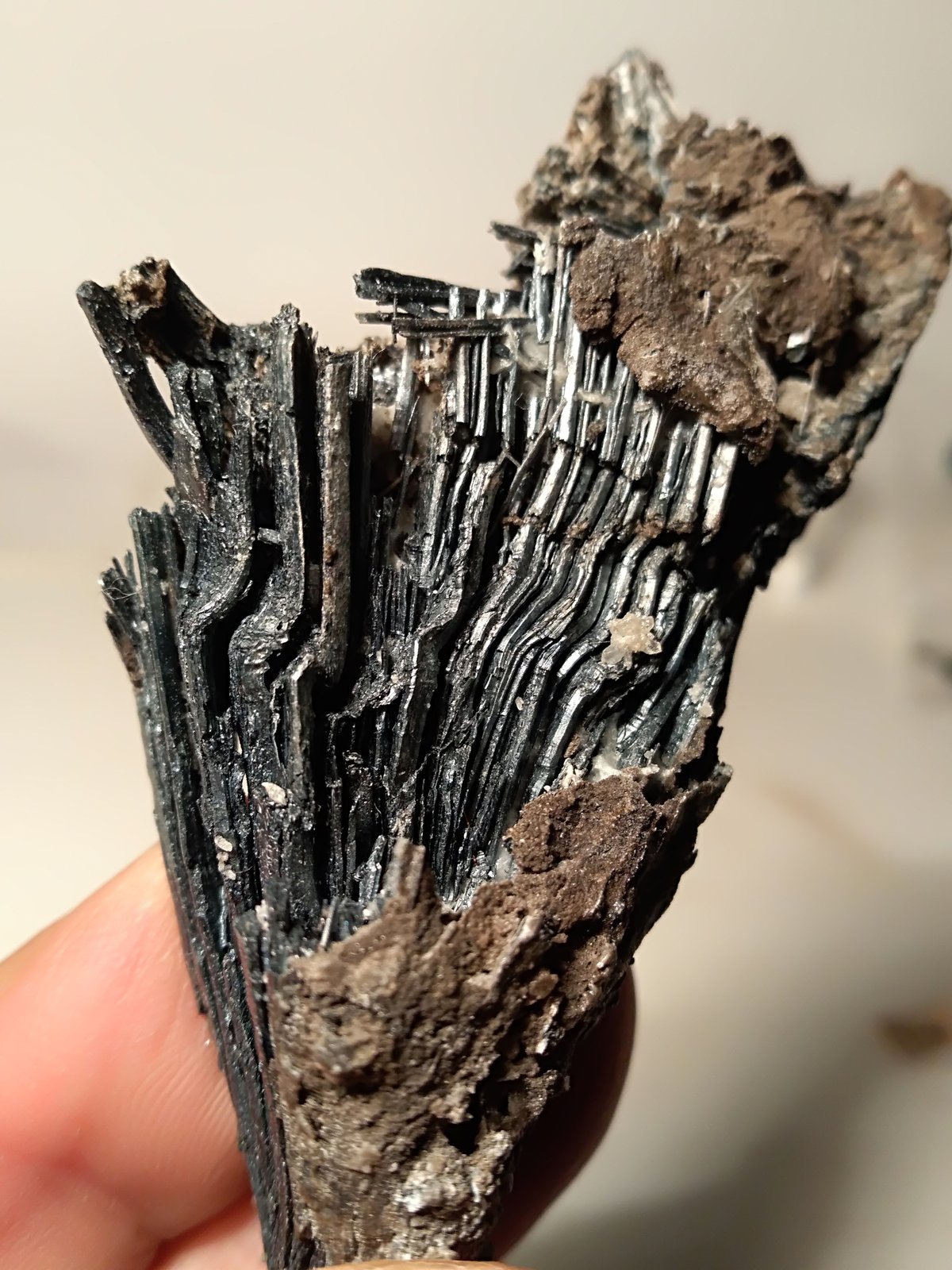Stibnita (Estibina)
71,5 x 40 mm
(Autor: Sante Celiberti)