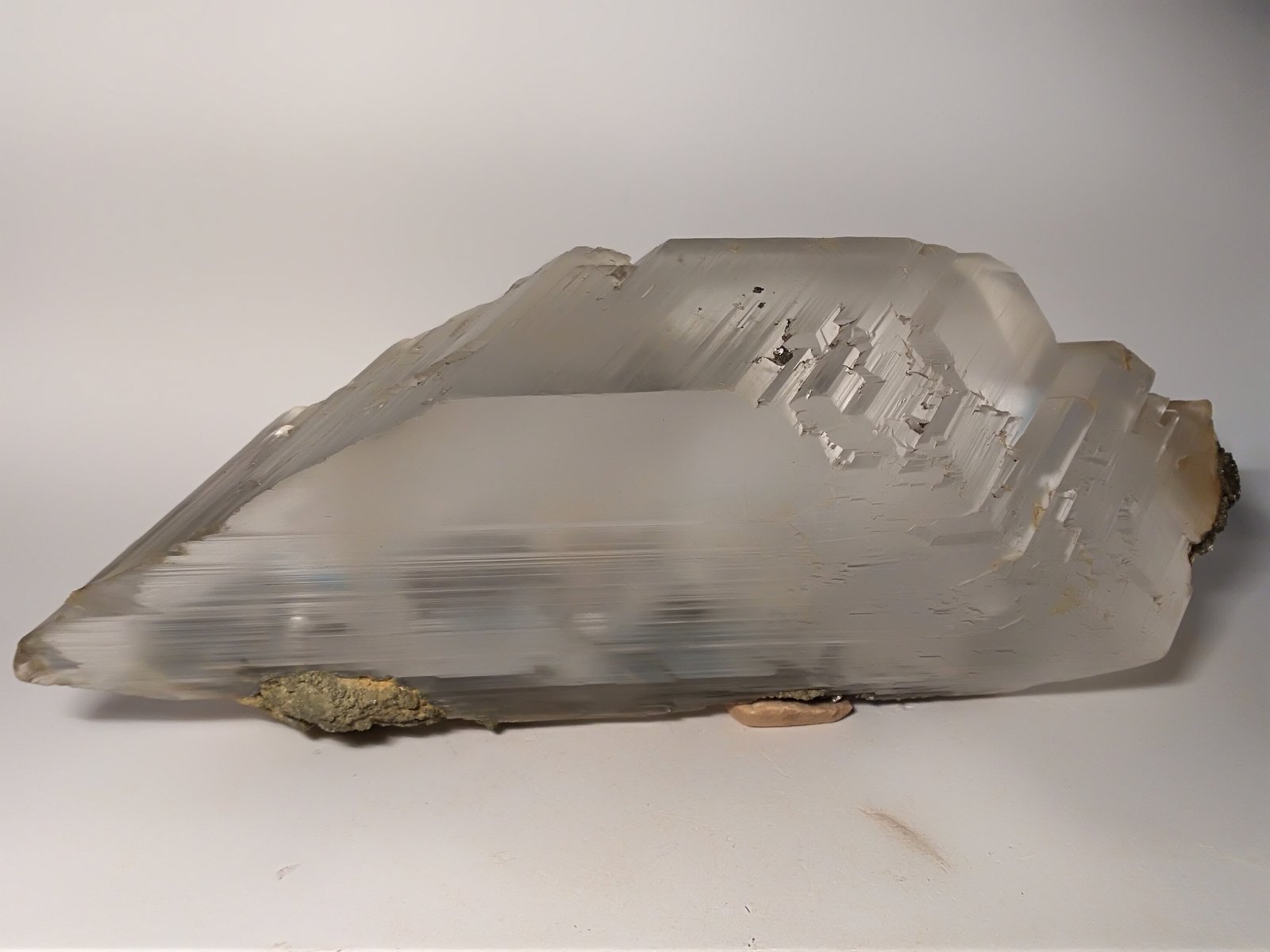 Yeso, Pirita
300 x 145 mm
(Autor: Sante Celiberti)