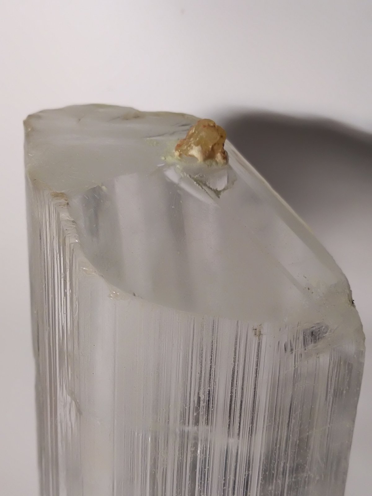 Yeso, Azufre, Pirita
294 x 50,4 mm
(Autor: Sante Celiberti)