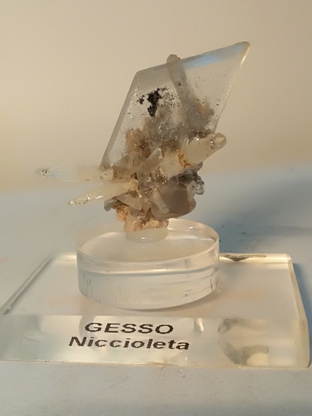 Yeso, Cuarzo, Pirita
48 x 55 mm
(Autor: Sante Celiberti)
