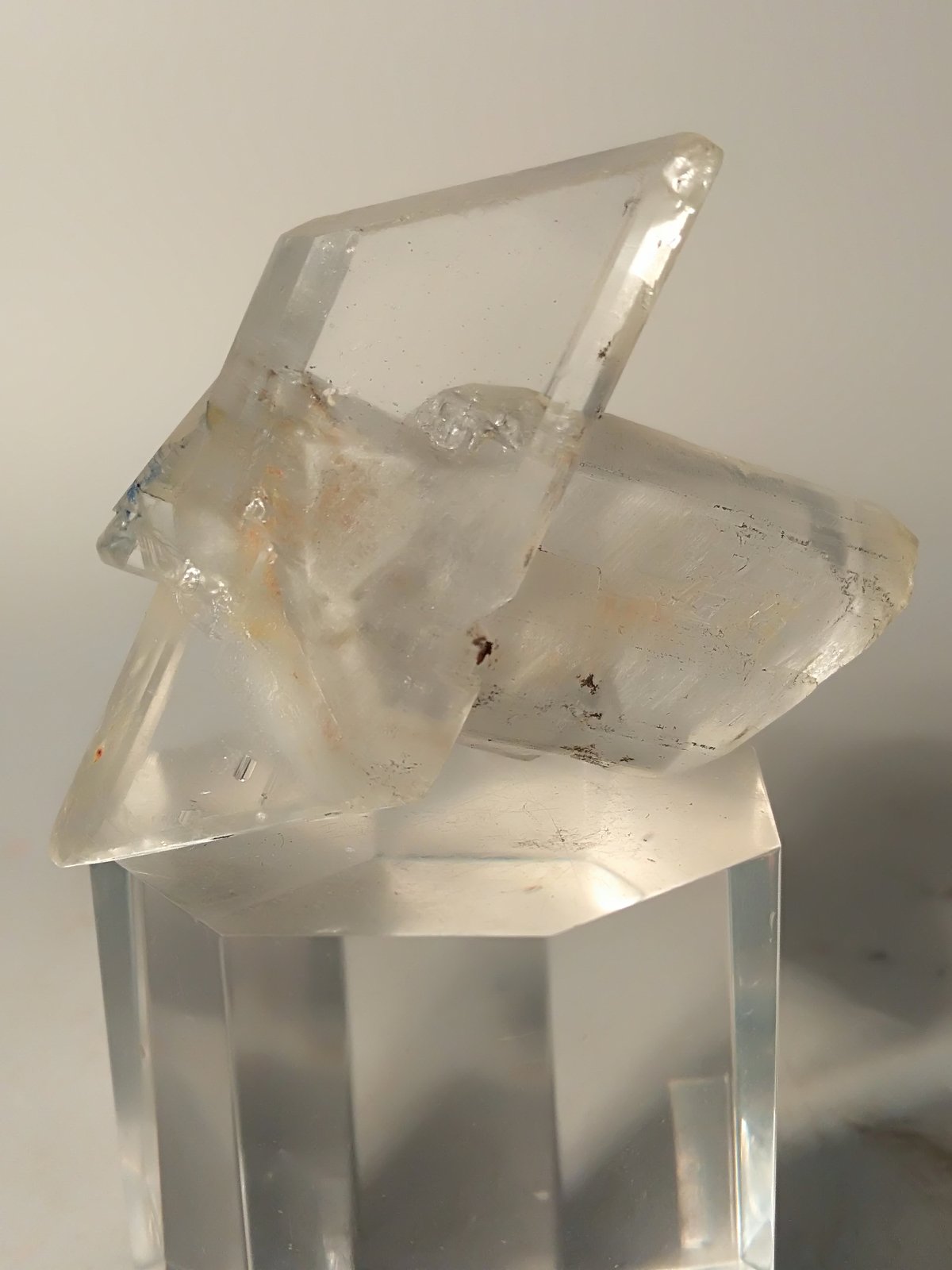 Yeso
50,6 x 48,6 mm
(Autor: Sante Celiberti)