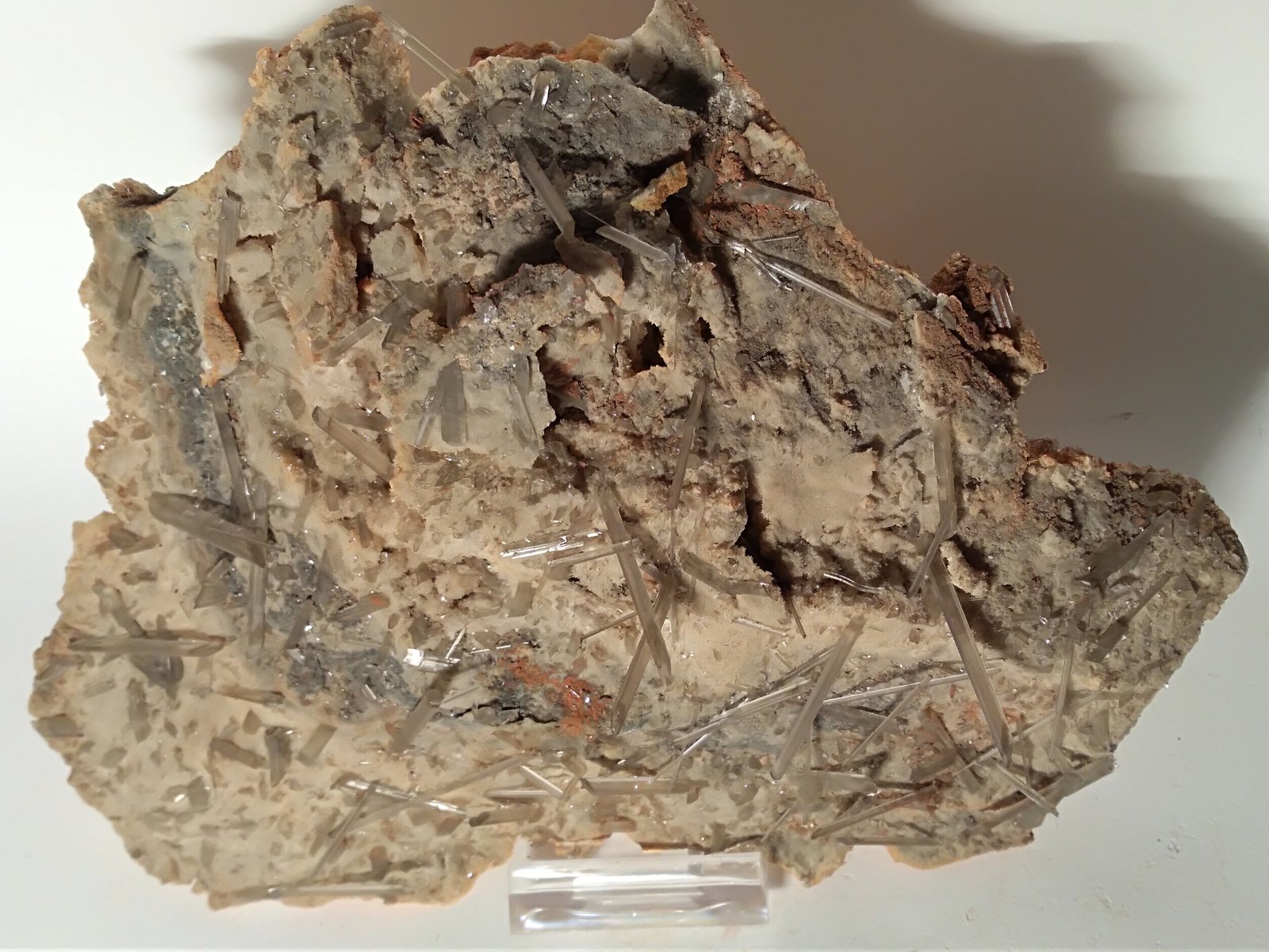 Yeso
190 x 130 mm
(Autor: Sante Celiberti)
