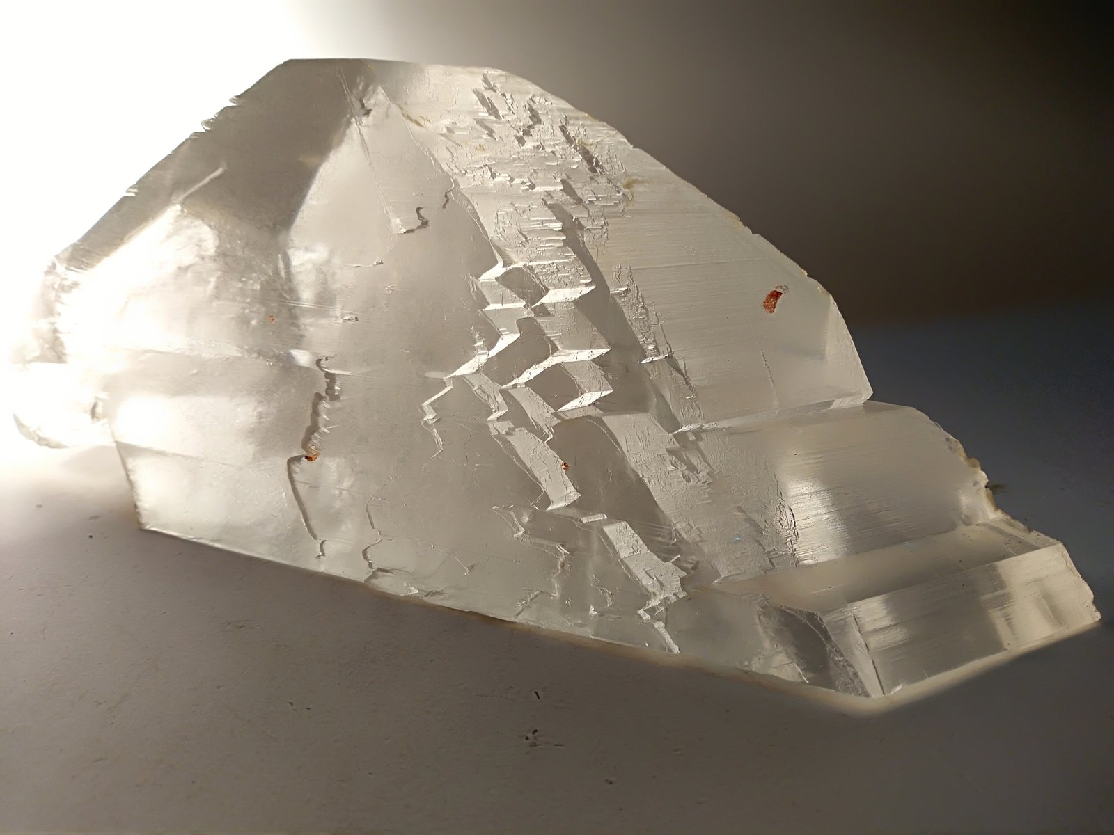 Yeso
225 x 98 mm
(Autor: Sante Celiberti)