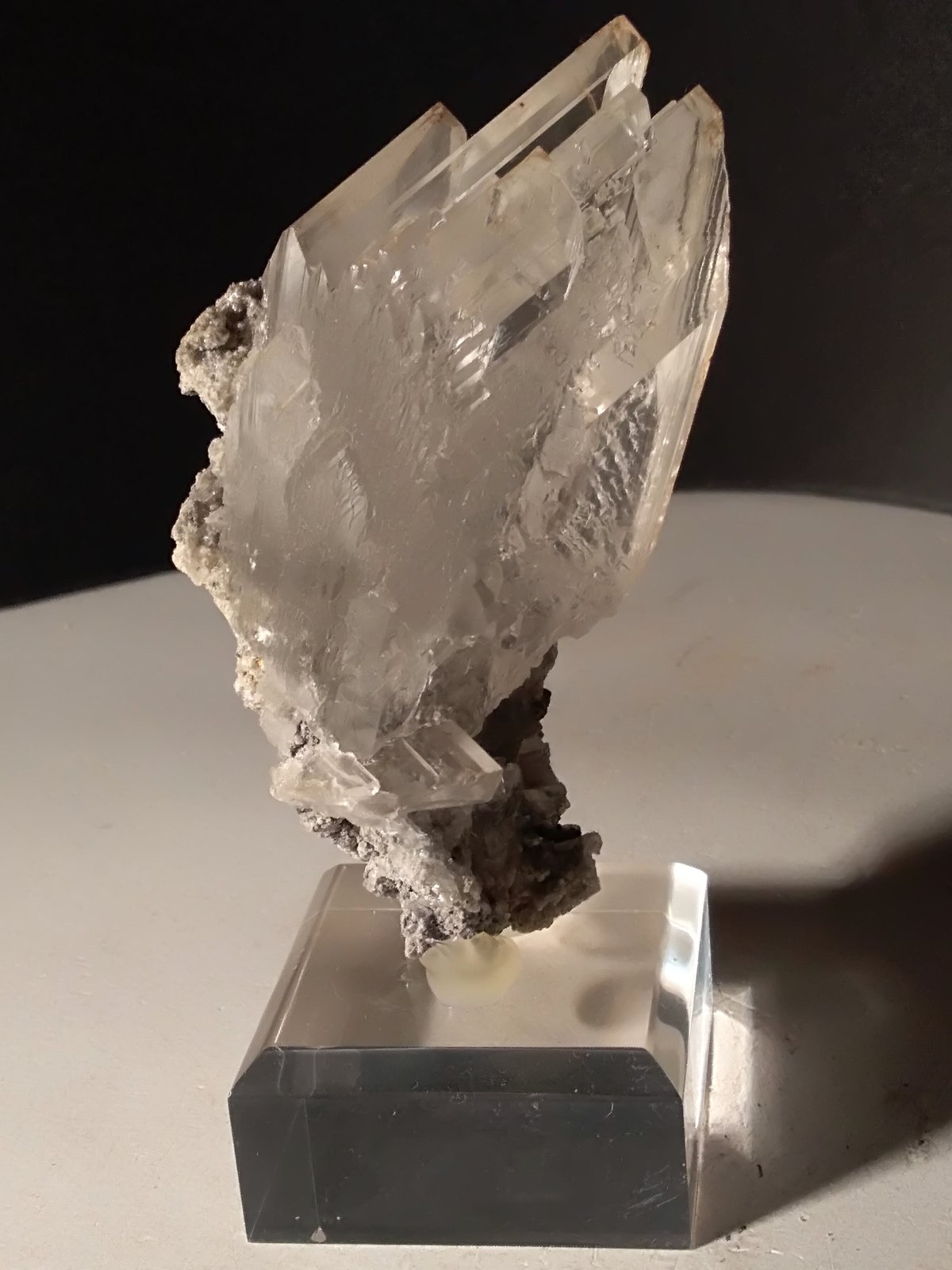 Yeso
89 x 39 mm
(Autor: Sante Celiberti)