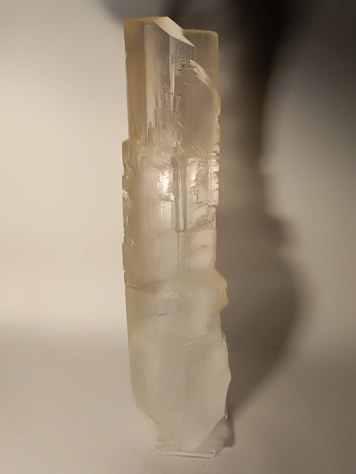 Yeso
317 x 76 mm
(Autor: Sante Celiberti)