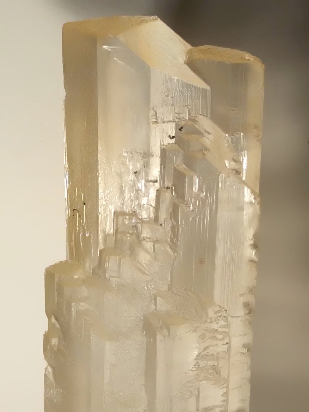 Yeso
317 x 76 mm
(Autor: Sante Celiberti)