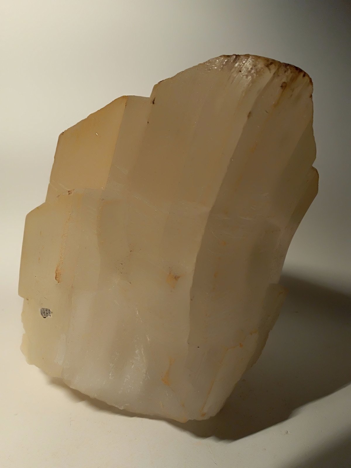 Yeso
180 x 180 mm
(Autor: Sante Celiberti)