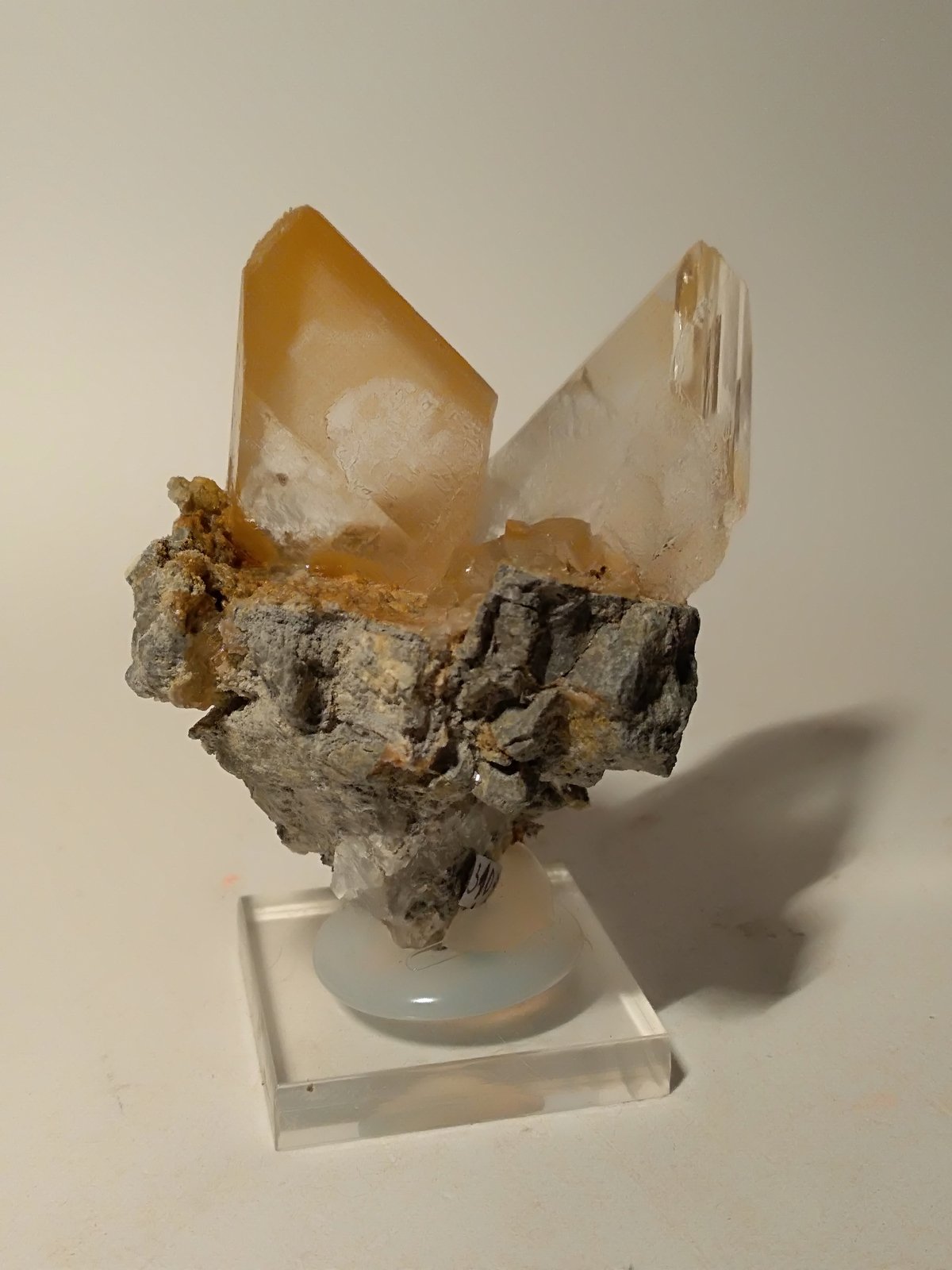 Yeso
66 x 65 mm
(Autor: Sante Celiberti)