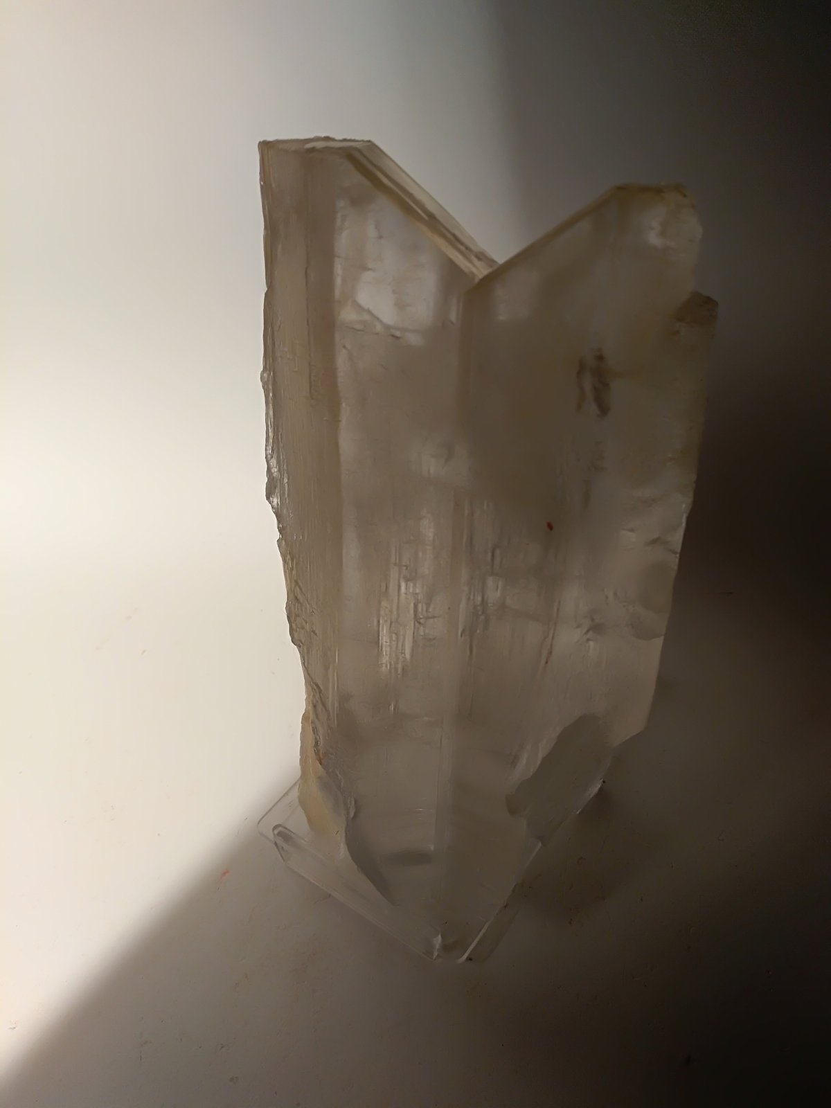 Yeso
150 x 82 mm
(Autor: Sante Celiberti)