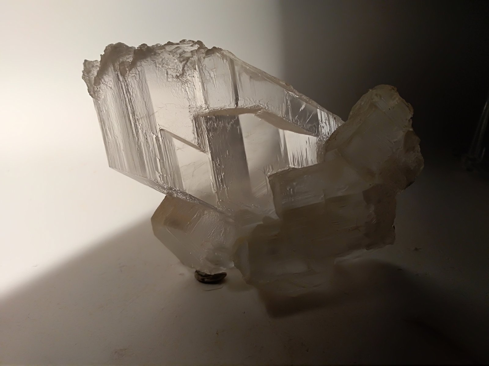 Yeso
96,7 x 90 mm
(Autor: Sante Celiberti)
