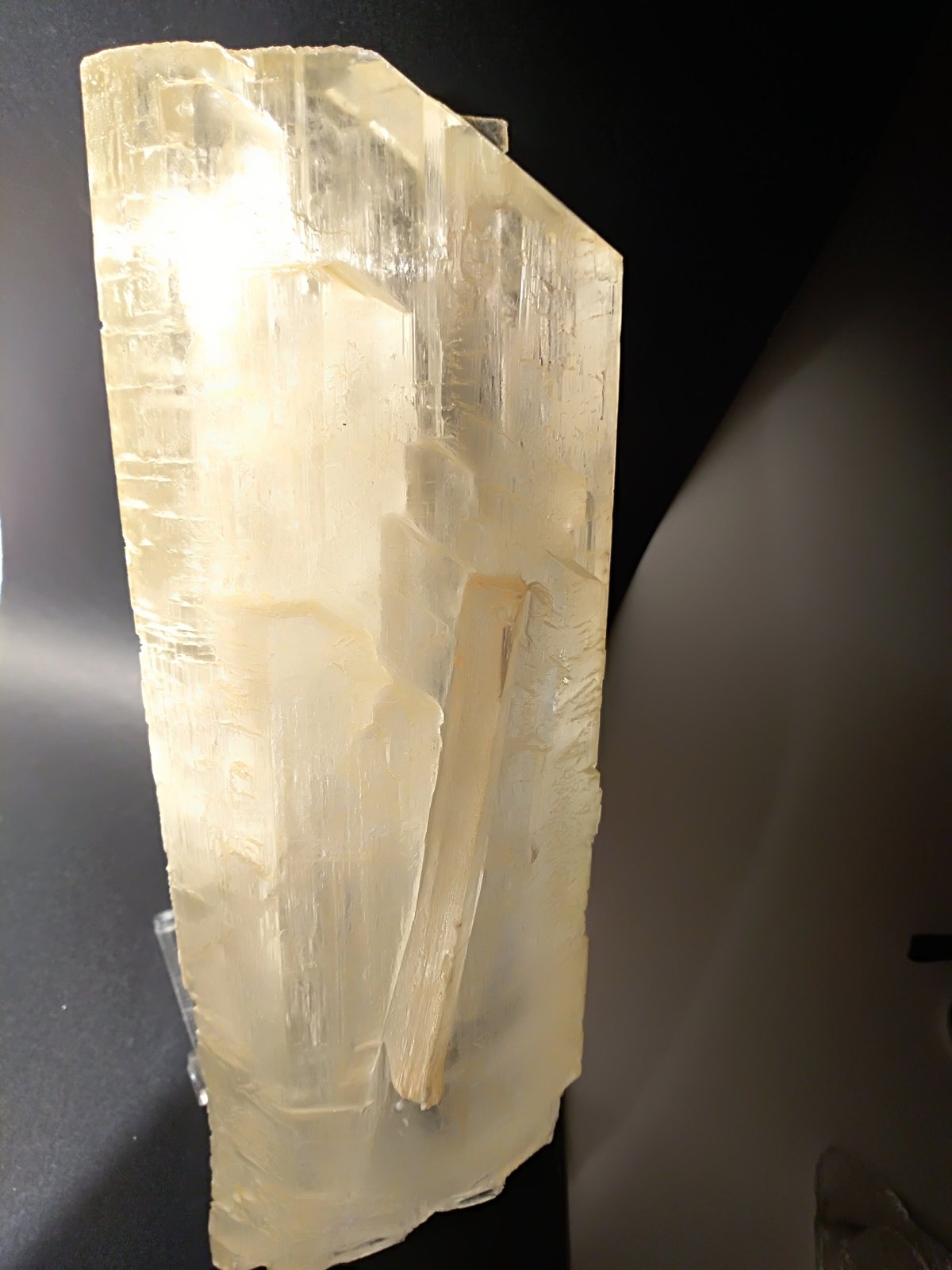 Yeso
255 x 97 mm
(Autor: Sante Celiberti)