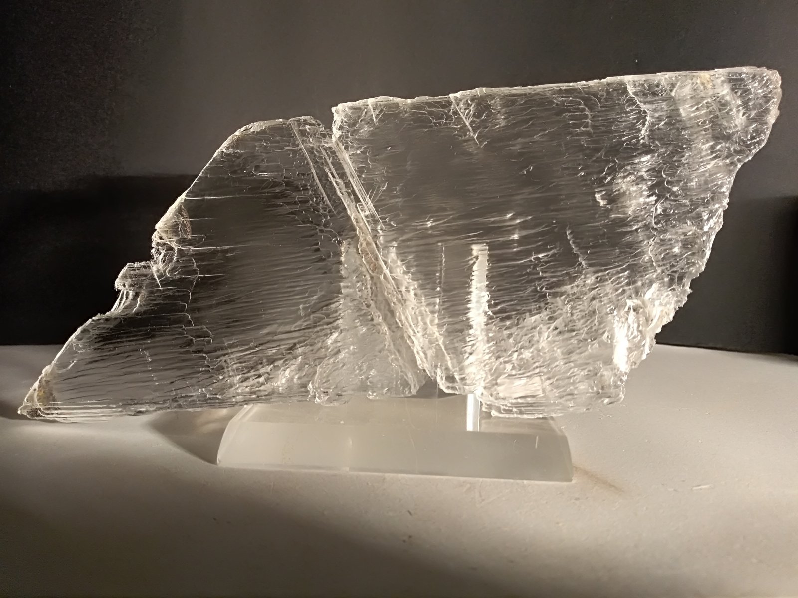 Yeso
204 x 83 mm
(Autor: Sante Celiberti)