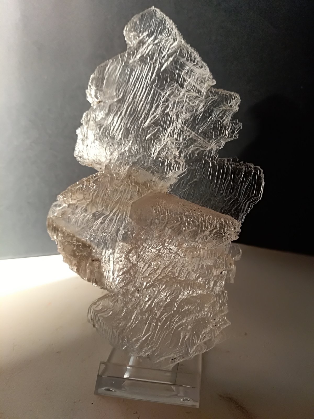 Yeso
150 x 93 mm
(Autor: Sante Celiberti)