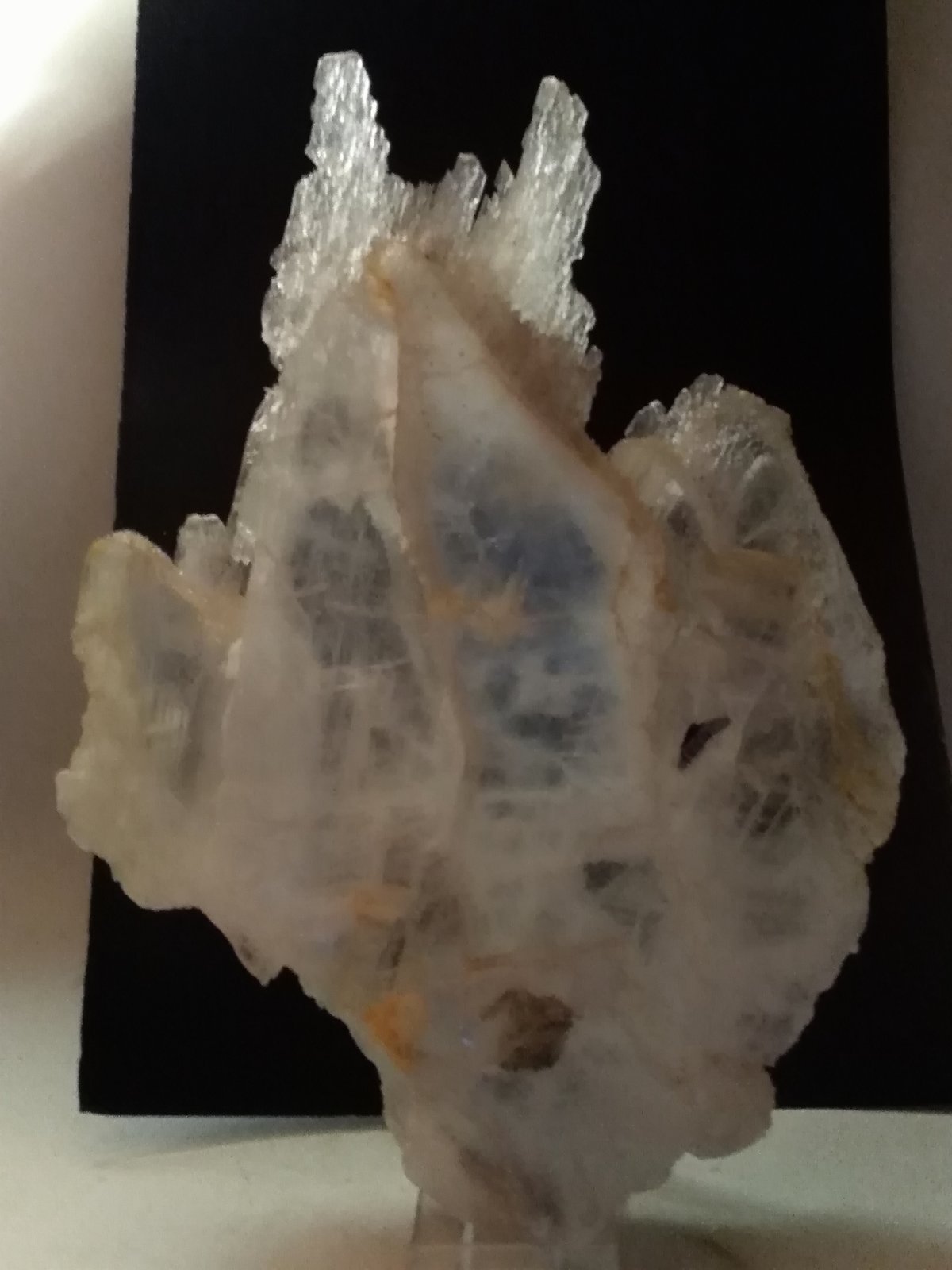 Yeso
230 x 180 mm
(Autor: Sante Celiberti)