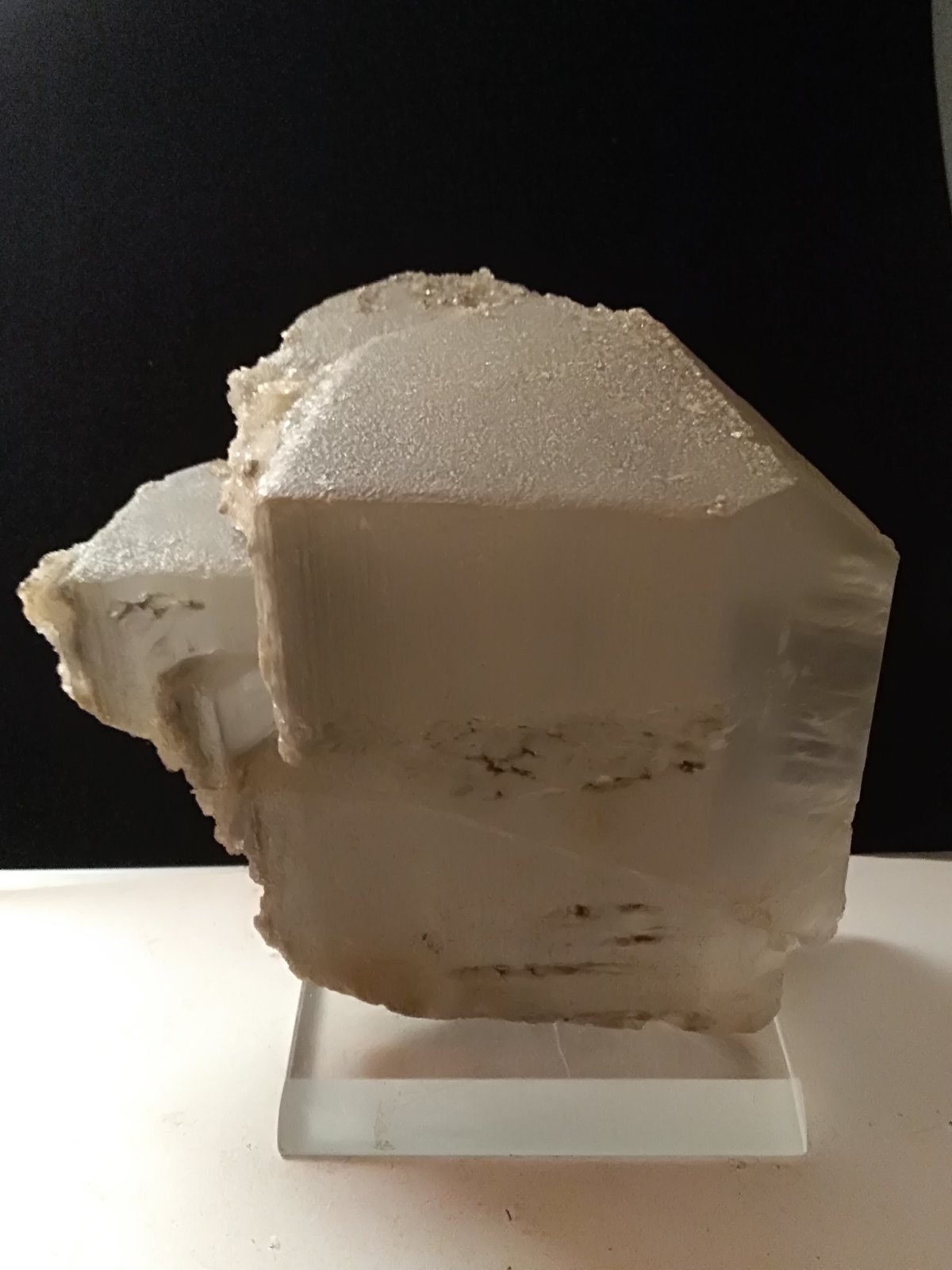 Yeso
135 x 105 mm
(Autor: Sante Celiberti)