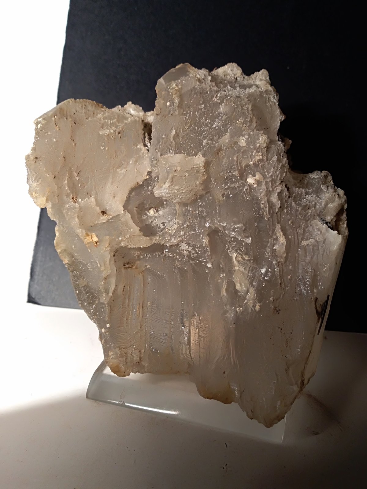 Yeso
135 x 105 mm
(Autor: Sante Celiberti)