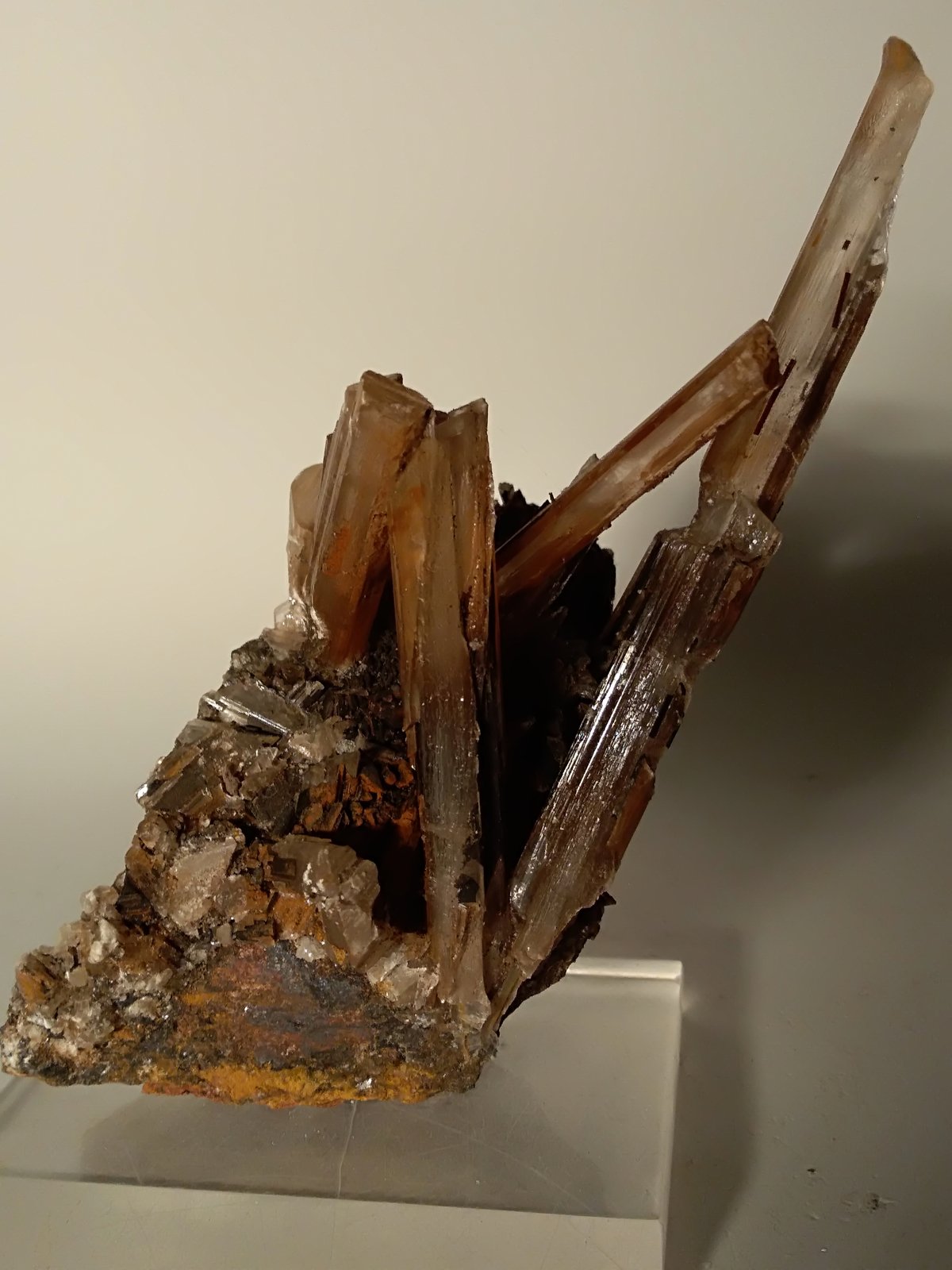 Yeso
130 x 70 mm
(Autor: Sante Celiberti)