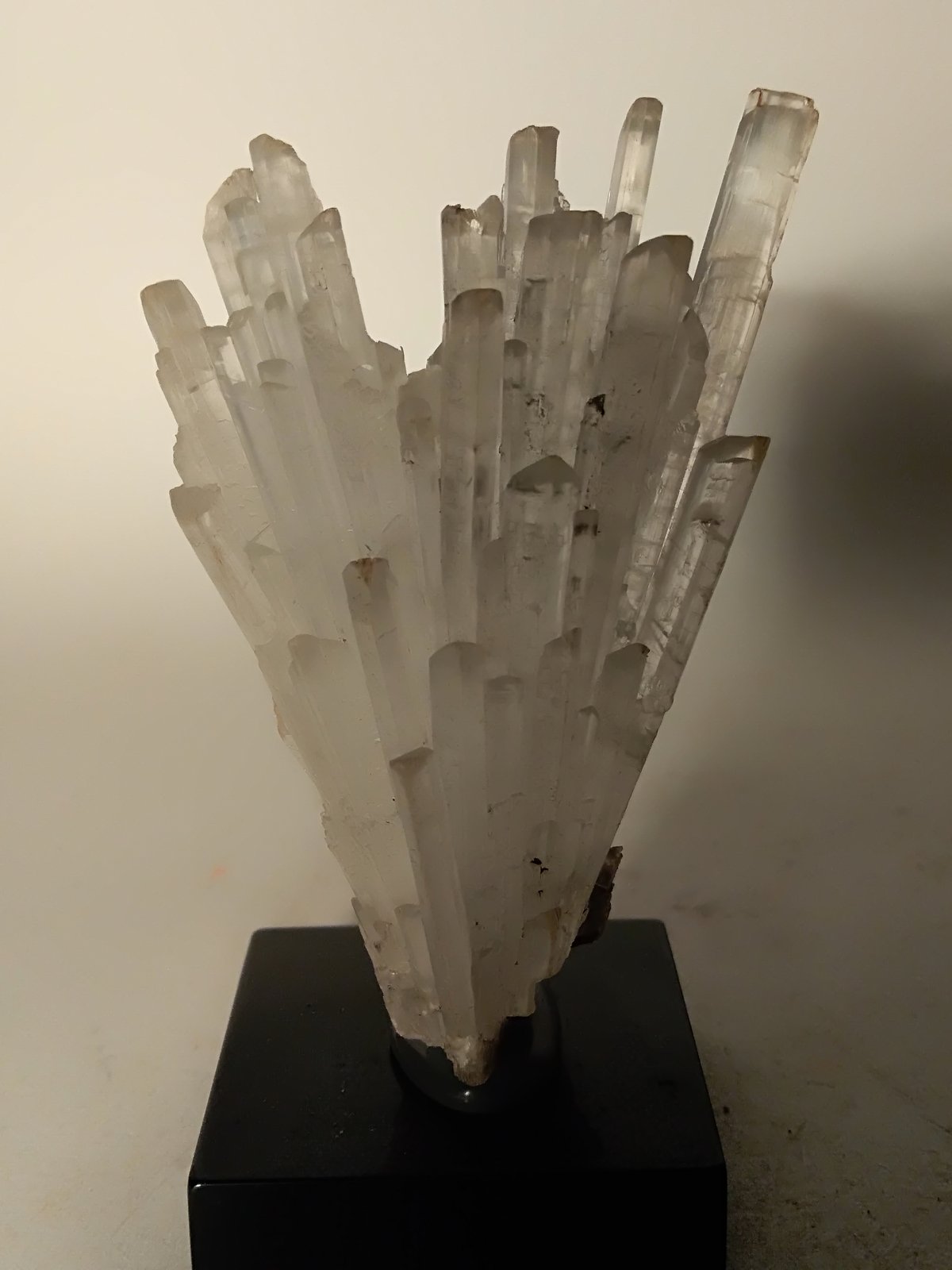 Yeso
75 x 50 mm
(Autor: Sante Celiberti)