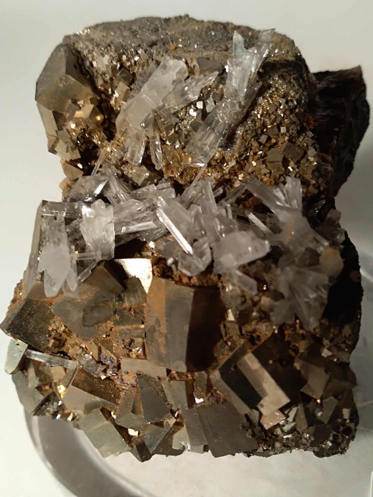 Pirita, Yeso
60 x 47 mm
(Autor: Sante Celiberti)