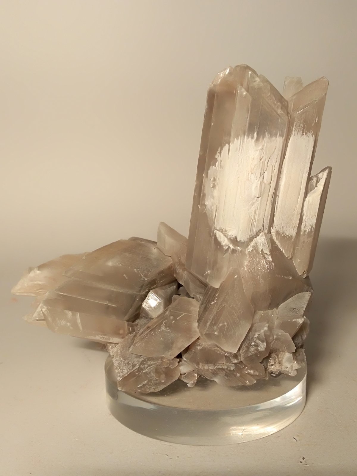 Yeso
90,5 x 89 mm
(Autor: Sante Celiberti)