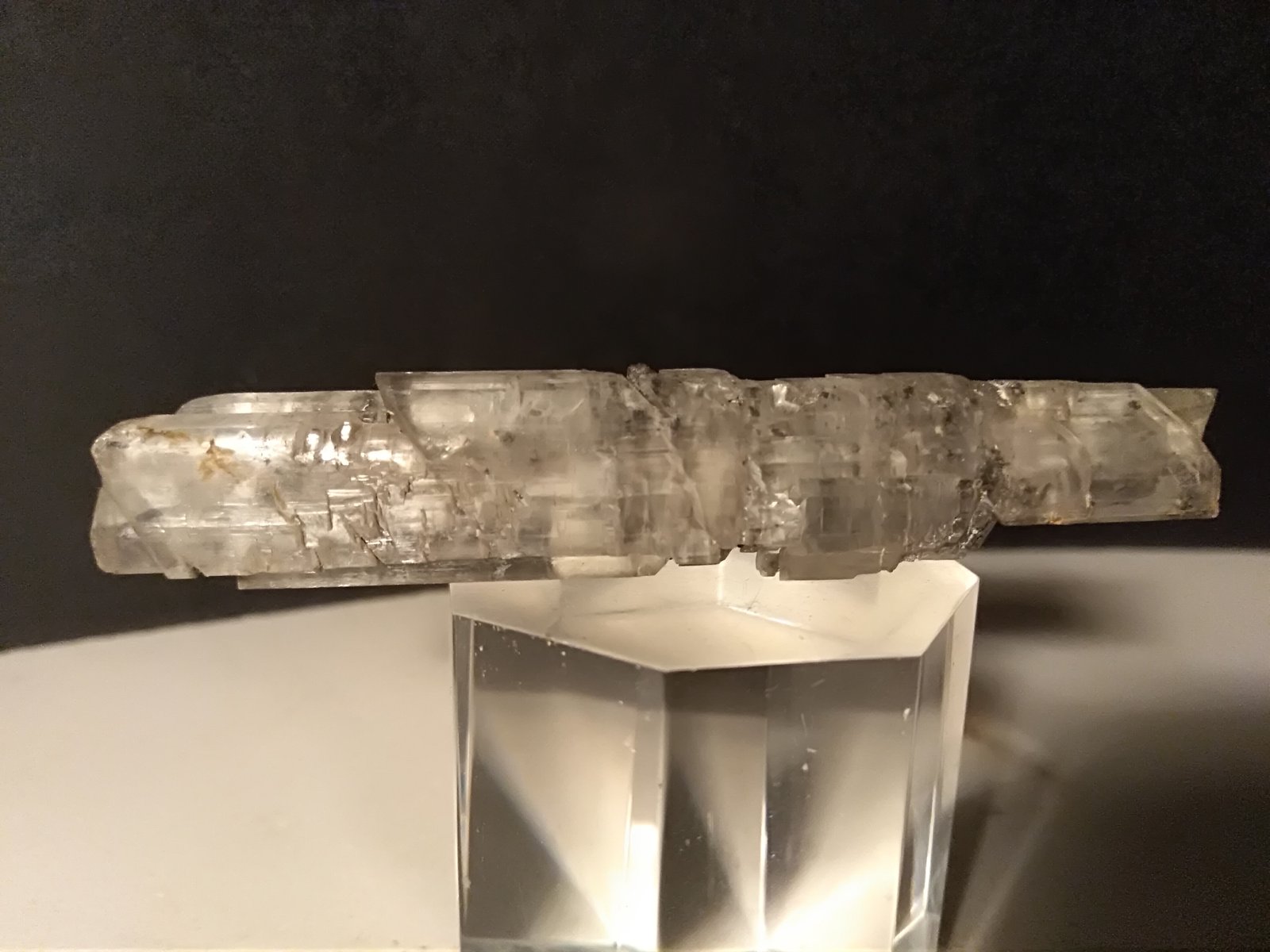 Yeso
81,2 x 16,2 mm
(Autor: Sante Celiberti)