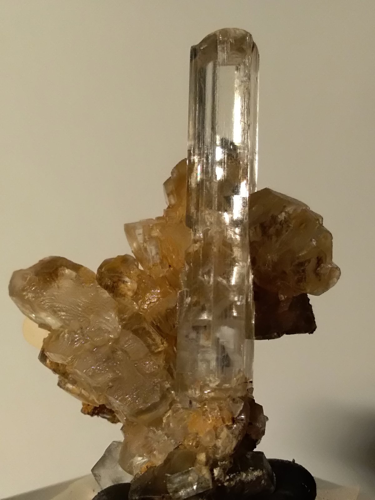 Yeso
42 x 31,2 mm
(Autor: Sante Celiberti)