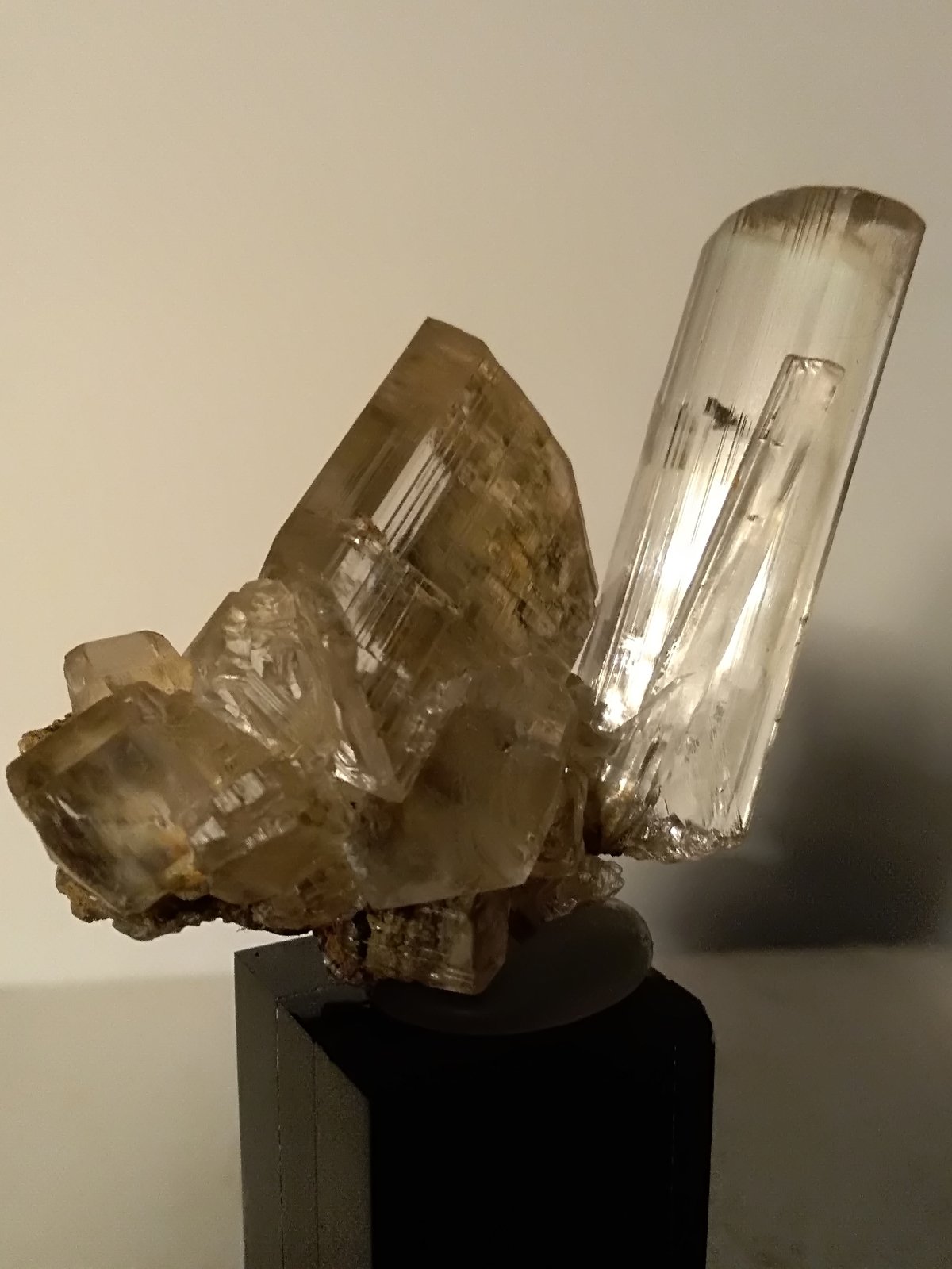 Yeso
40 x 46 mm
(Autor: Sante Celiberti)