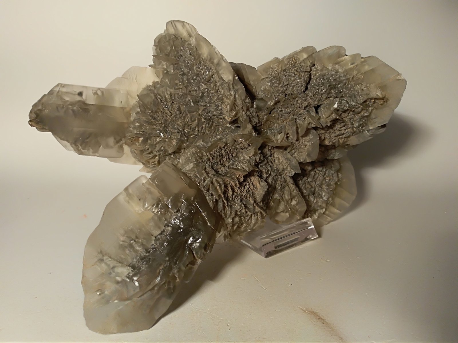 Yeso
250 x 160 mm
(Autor: Sante Celiberti)