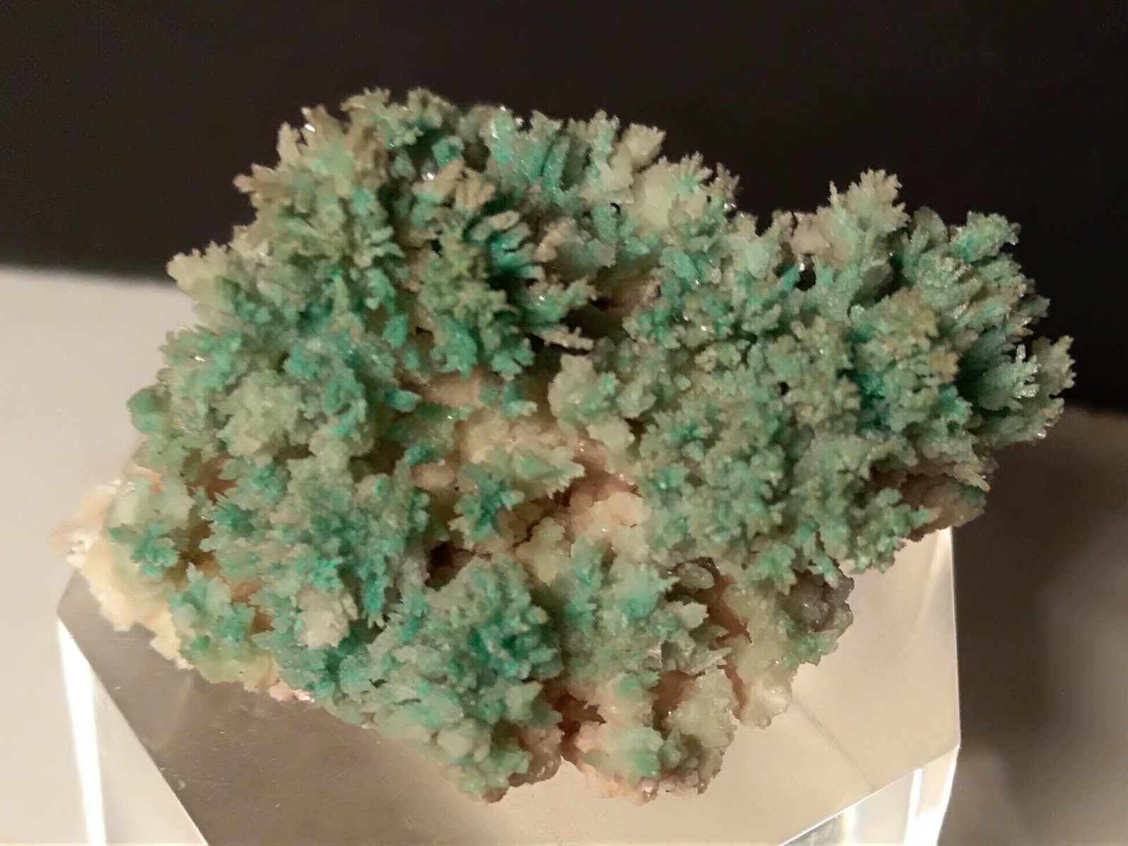 Yeso, Crisocola
46,5 x 40,6 mm
(Autor: Sante Celiberti)