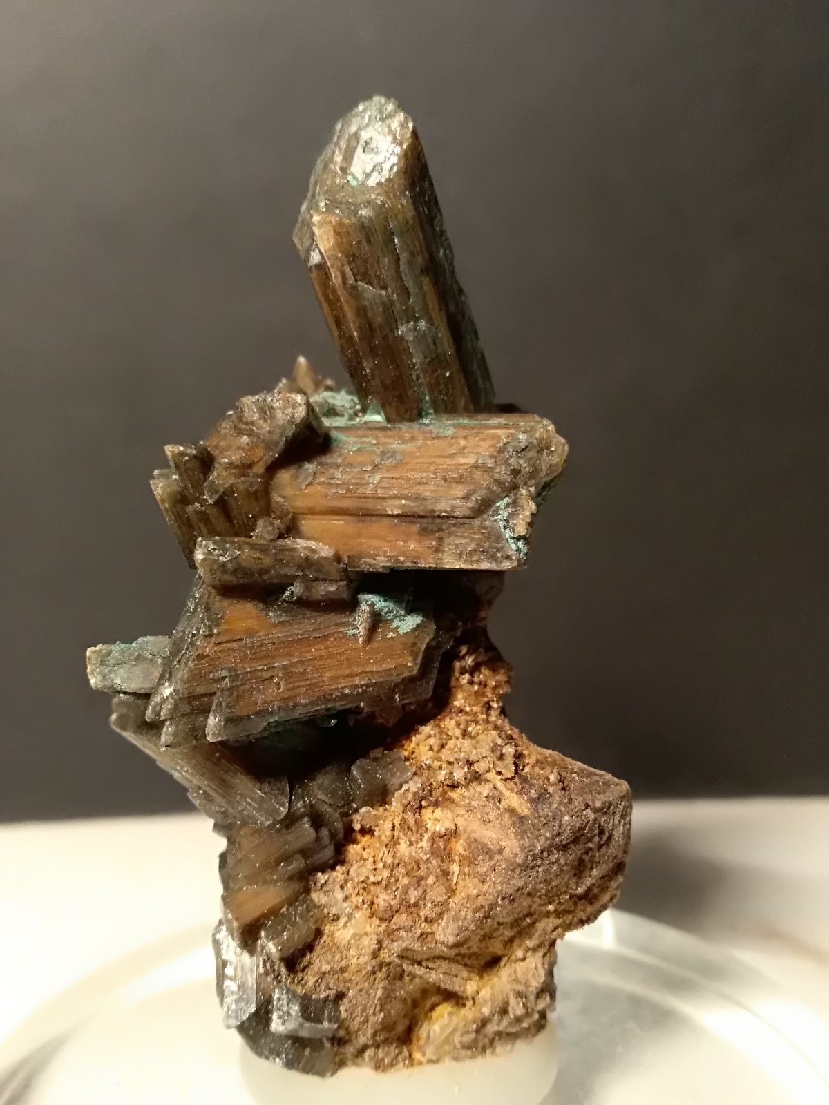 Yeso, Crisocola
65,9 x 38,4 mm
(Autor: Sante Celiberti)