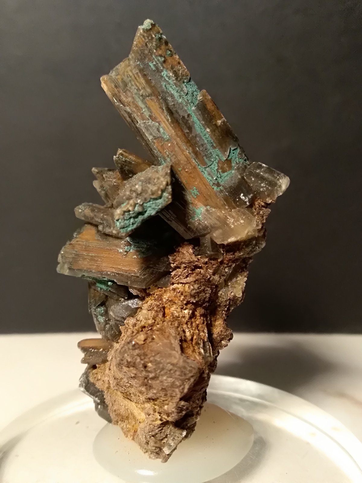 Yeso, Crisocola
65,9 x 38,4 mm
(Autor: Sante Celiberti)