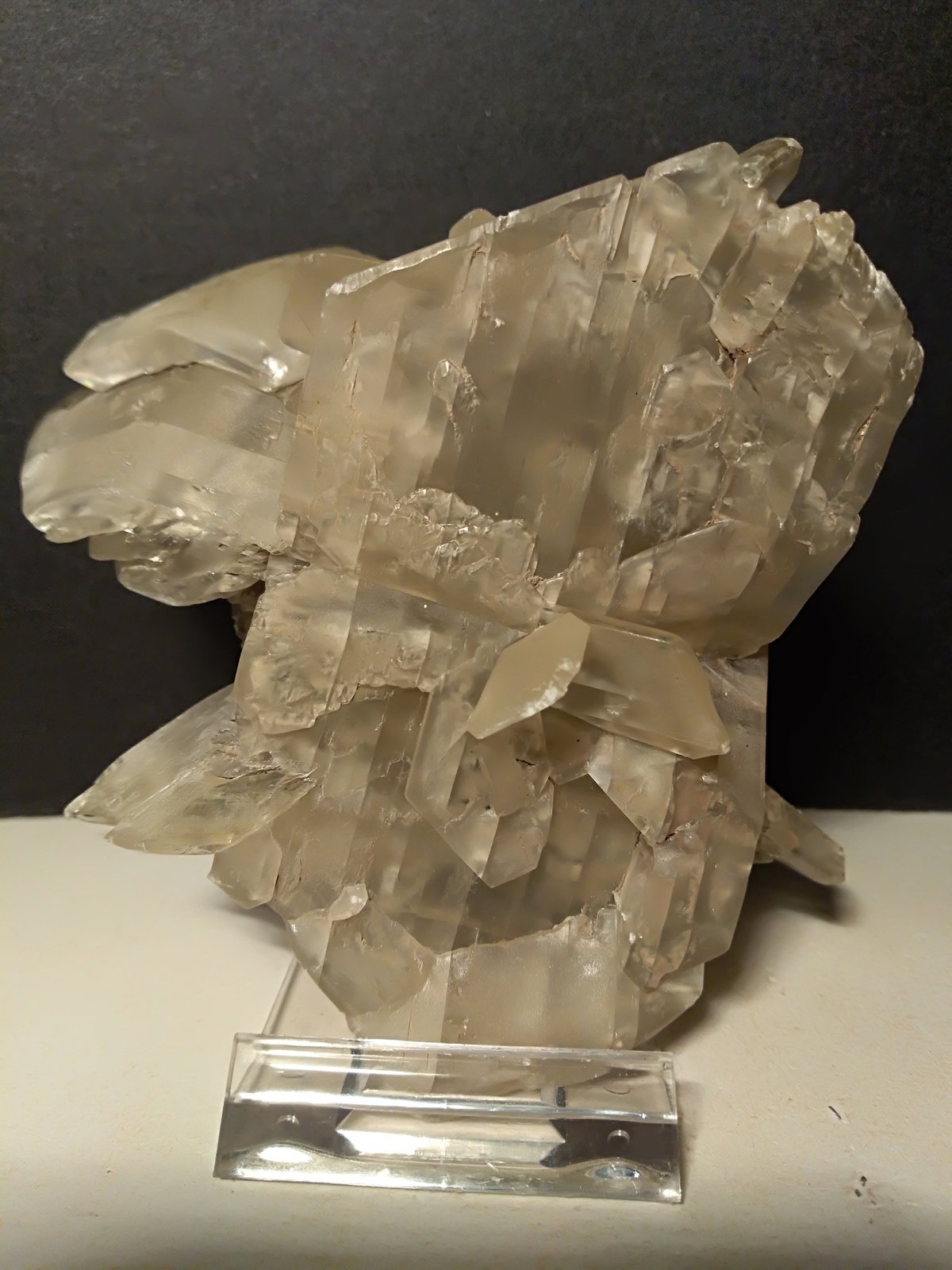 Yeso
90 x 120 mm
(Autor: Sante Celiberti)