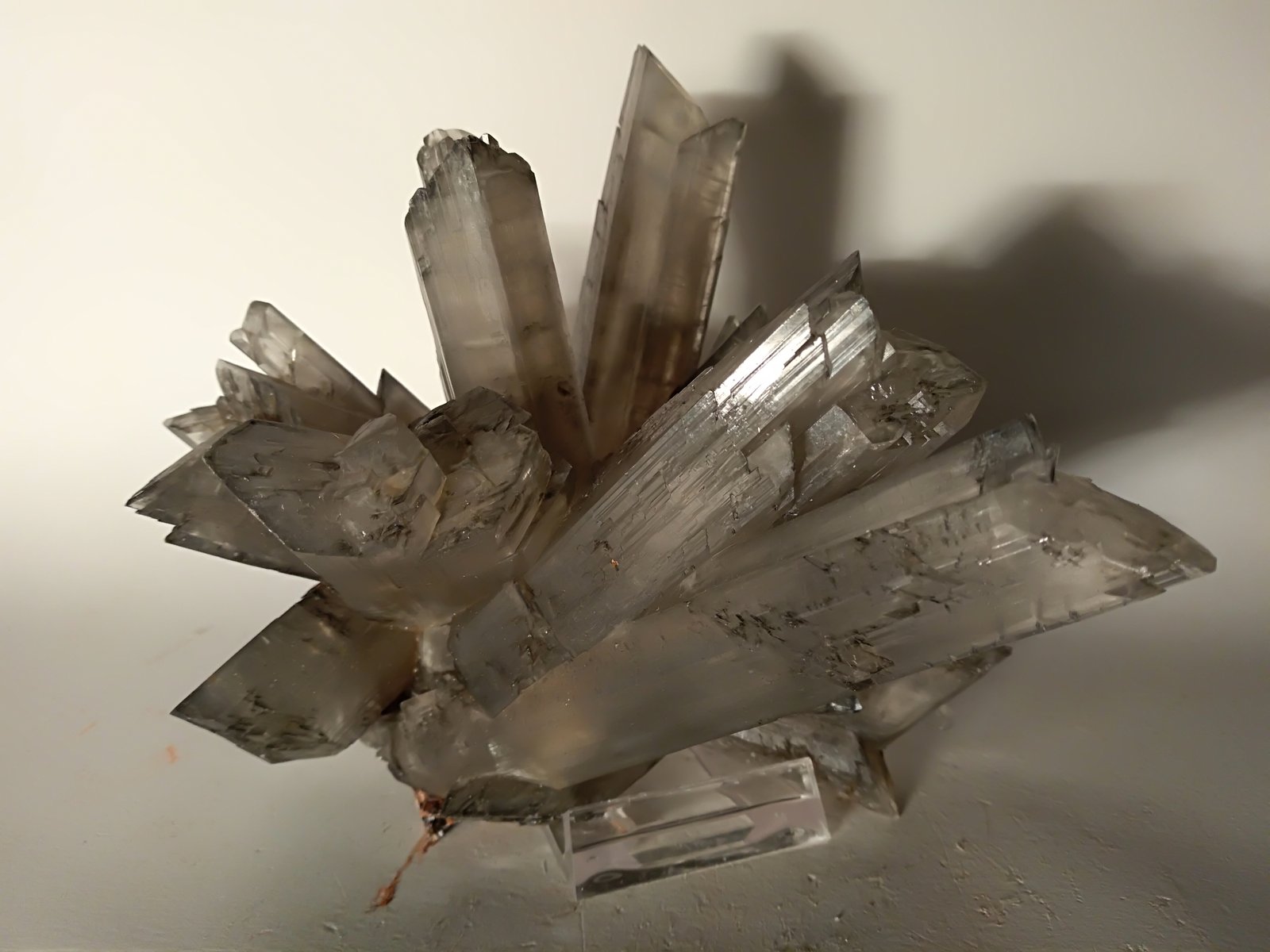 Yeso
150 x 100 mm
(Autor: Sante Celiberti)