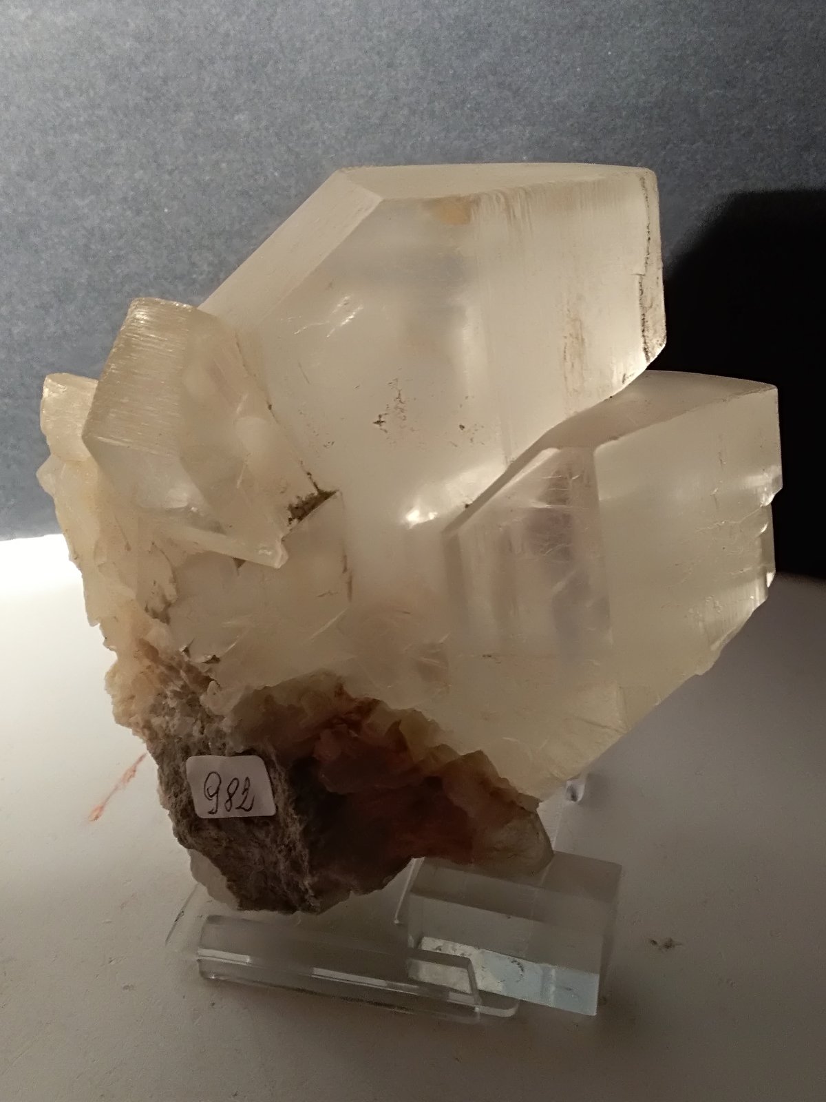 Yeso
125 x 110 mm
(Autor: Sante Celiberti)