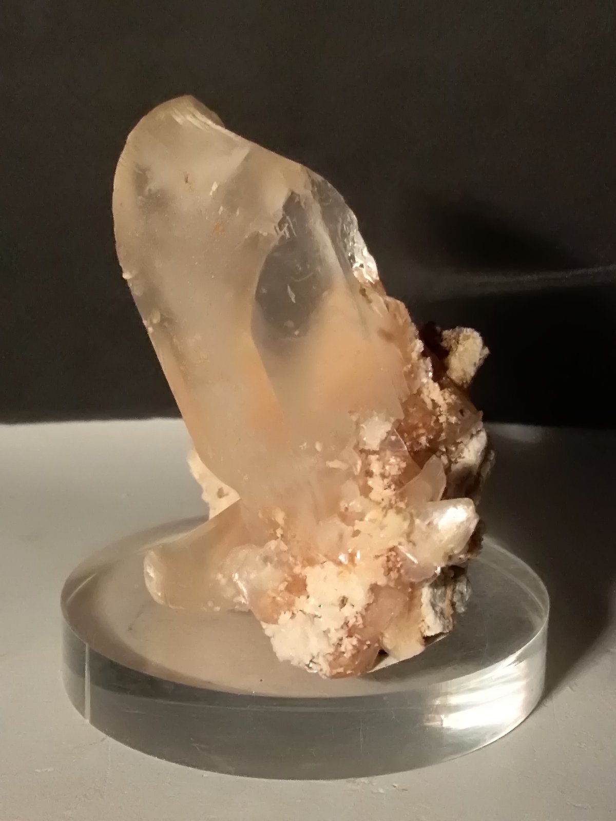Yeso
67 x 65 mm
(Autor: Sante Celiberti)