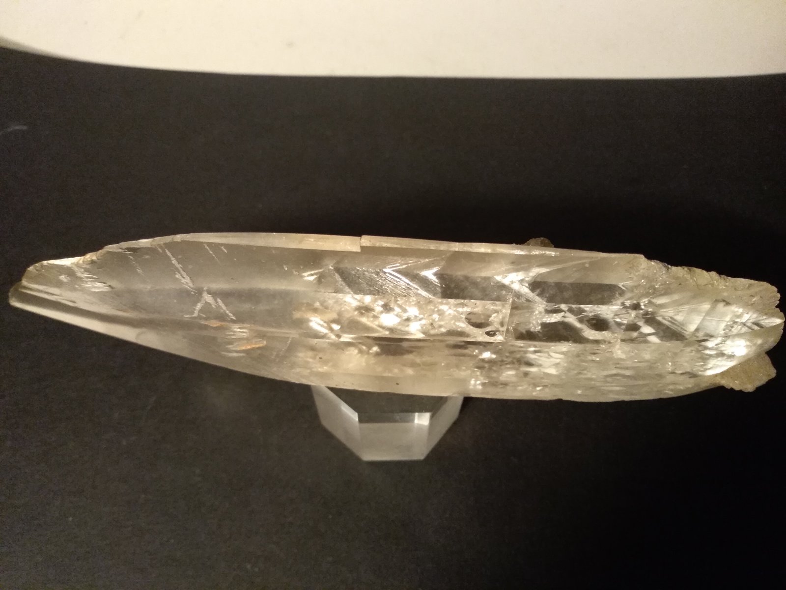 Yeso
185 x 48 mm
(Autor: Sante Celiberti)