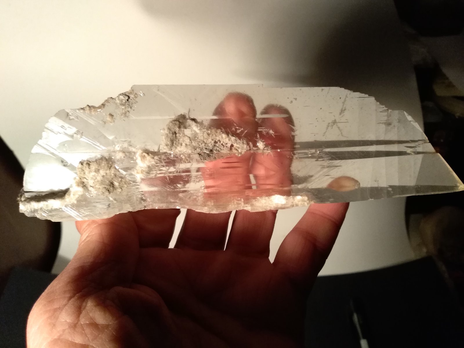 Yeso
185 x 48 mm
(Autor: Sante Celiberti)