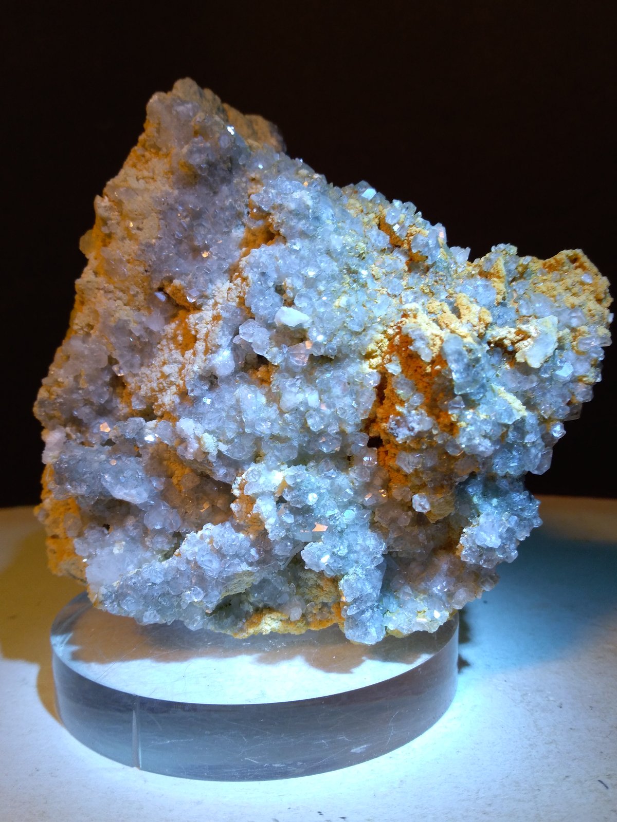 Celestina
82 x 78 mm
(Autor: Sante Celiberti)