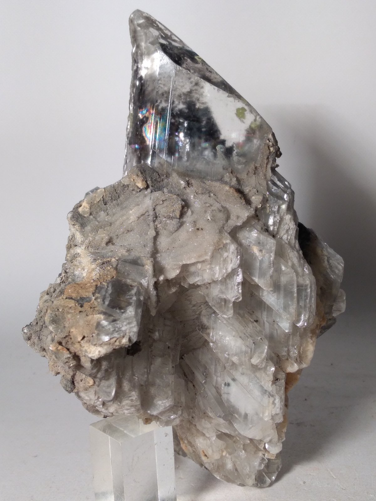 Yeso, Azufre, Pirita
150 x 90 mm
(Autor: Sante Celiberti)