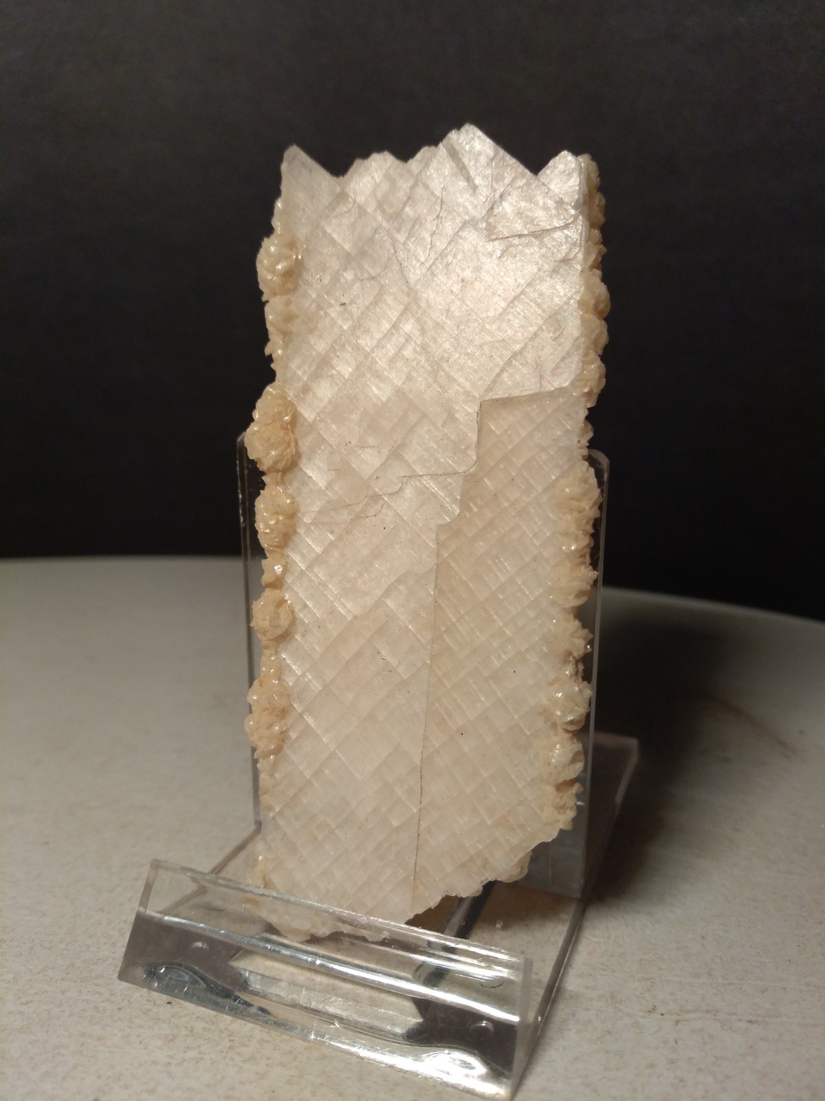 Anhidrita, Dolomita
82,3 x 36,4 mm
(Autor: Sante Celiberti)
