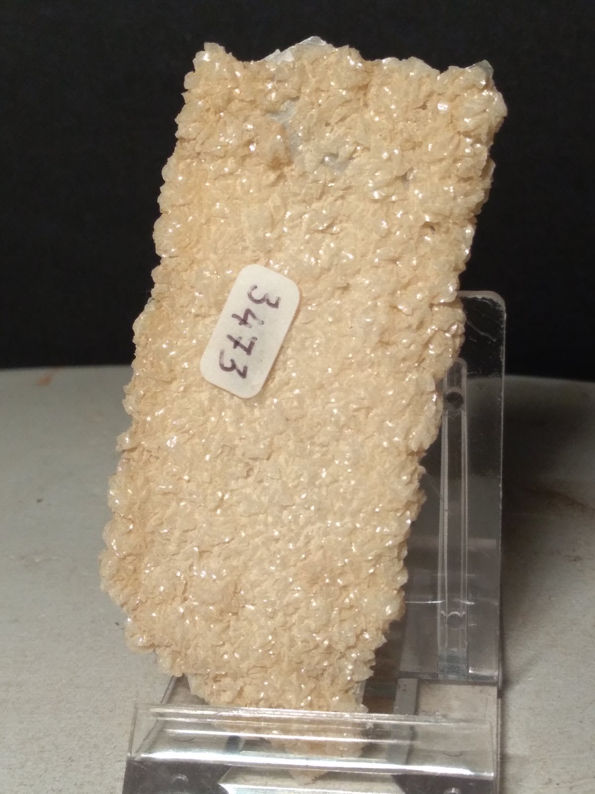 Anhidrita, Dolomita
82,3 x 36,4 mm
(Autor: Sante Celiberti)
